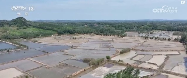 登仕堡子镇天气预报更新通知