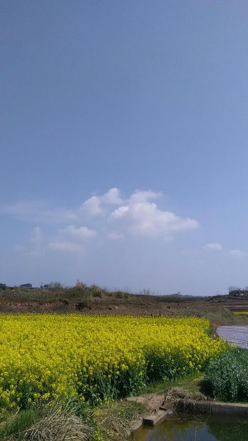 汪场村天气预报更新通知