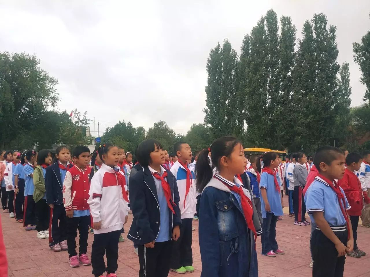 乌尔禾区小学最新动态报道