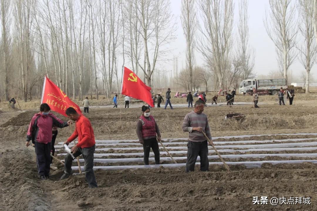 拜城县统计局新项目推动地方经济发展与数据治理水平提升