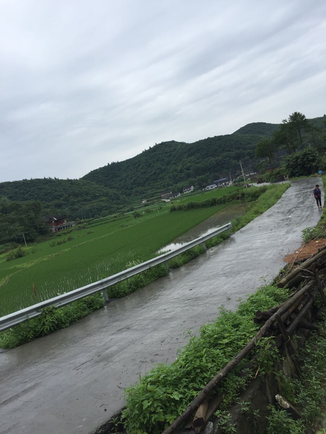 许家河村委会天气预报更新通知