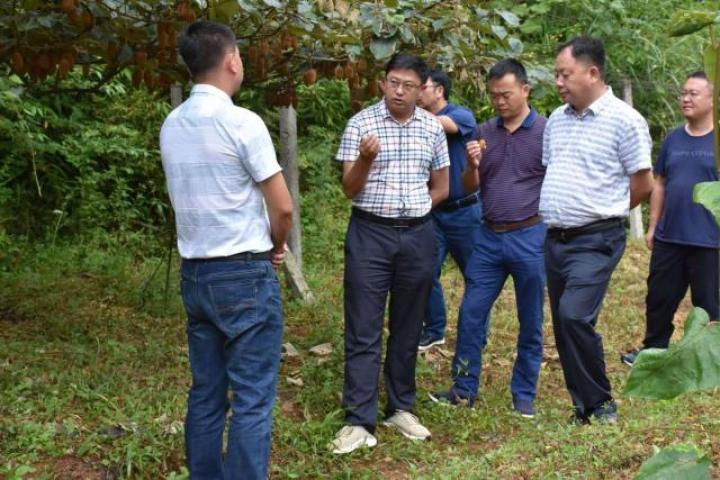 连山林场天气预报更新通知