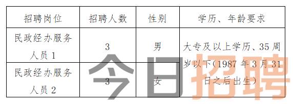 荔蒲县数据和政务服务局最新招聘信息全面解析