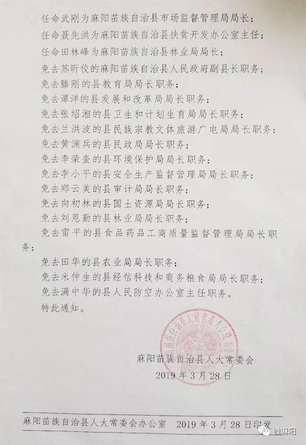 麻阳苗族自治县初中人事任命揭晓，开启未来教育新篇章