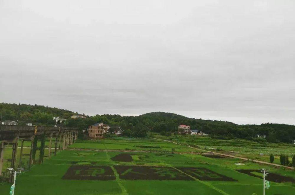 伊塘镇天气预报更新通知