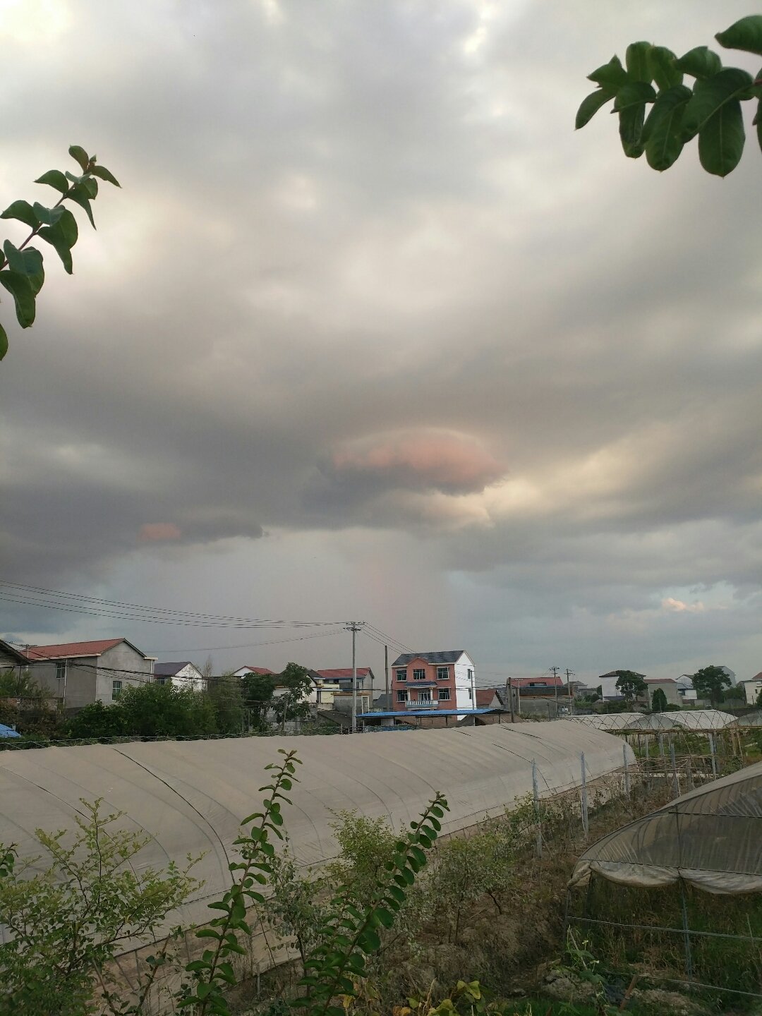 雨圣村委会最新天气预报