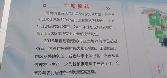 浦南镇未来繁荣新蓝图，最新发展规划揭秘