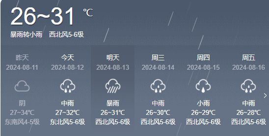 2025年1月5日 第12页