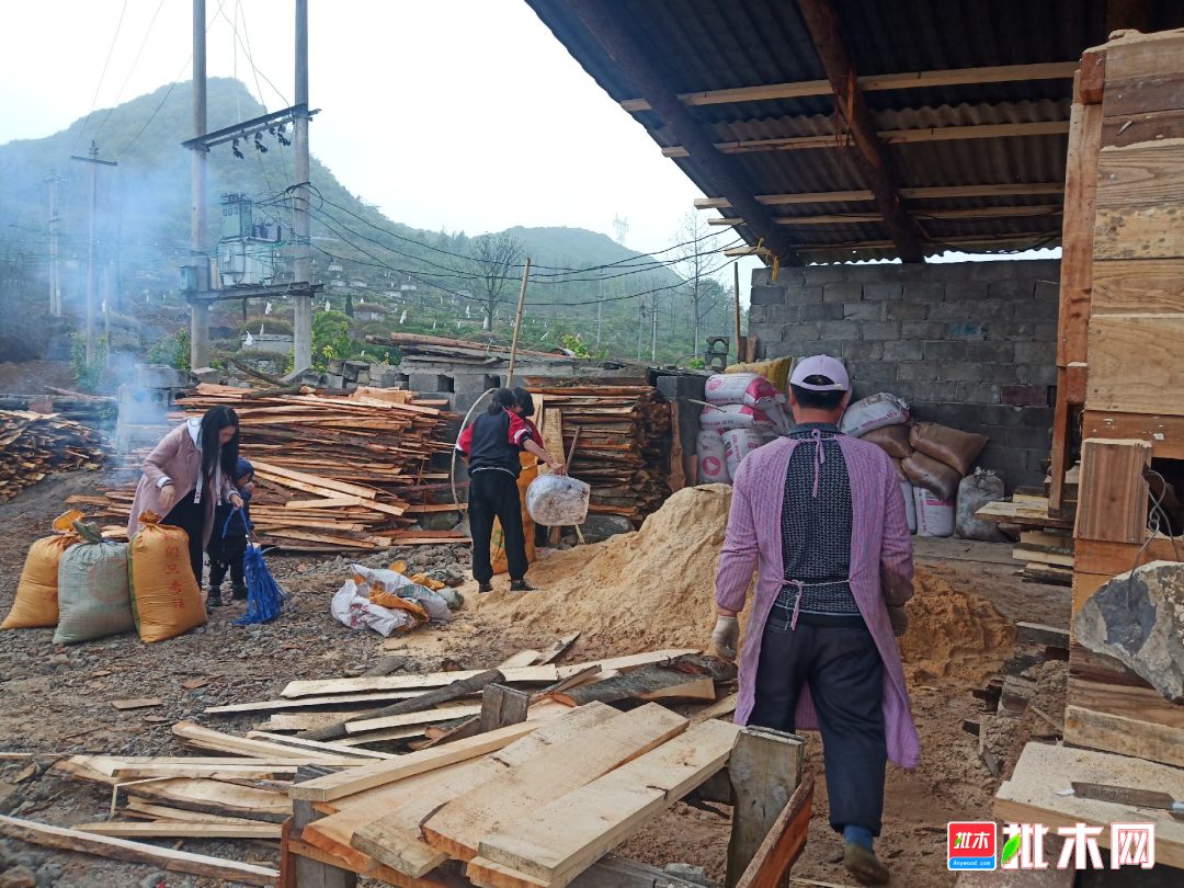 大新屯储木场绿色项目，探索与实践可持续发展之路