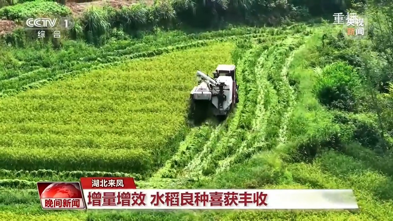 高淳团结圩良种繁育场最新动态报道