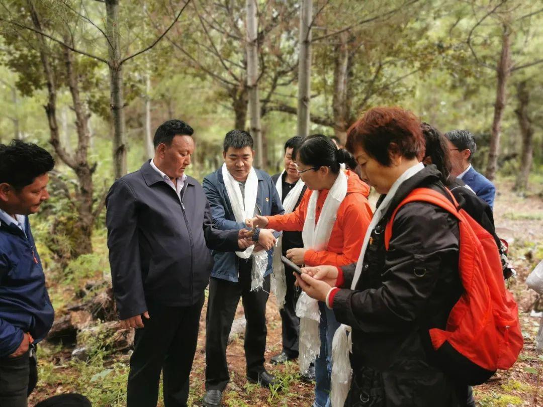 松宗镇最新项目，地区发展的强大引擎引领力量