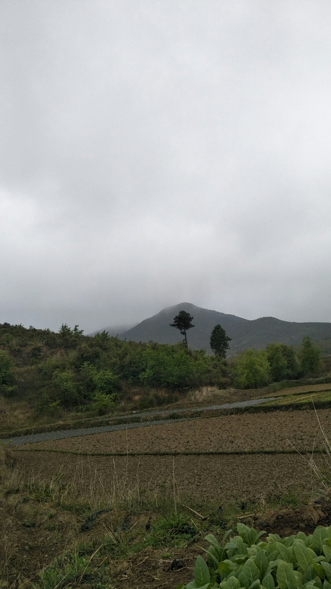 春光乡天气预报更新通知