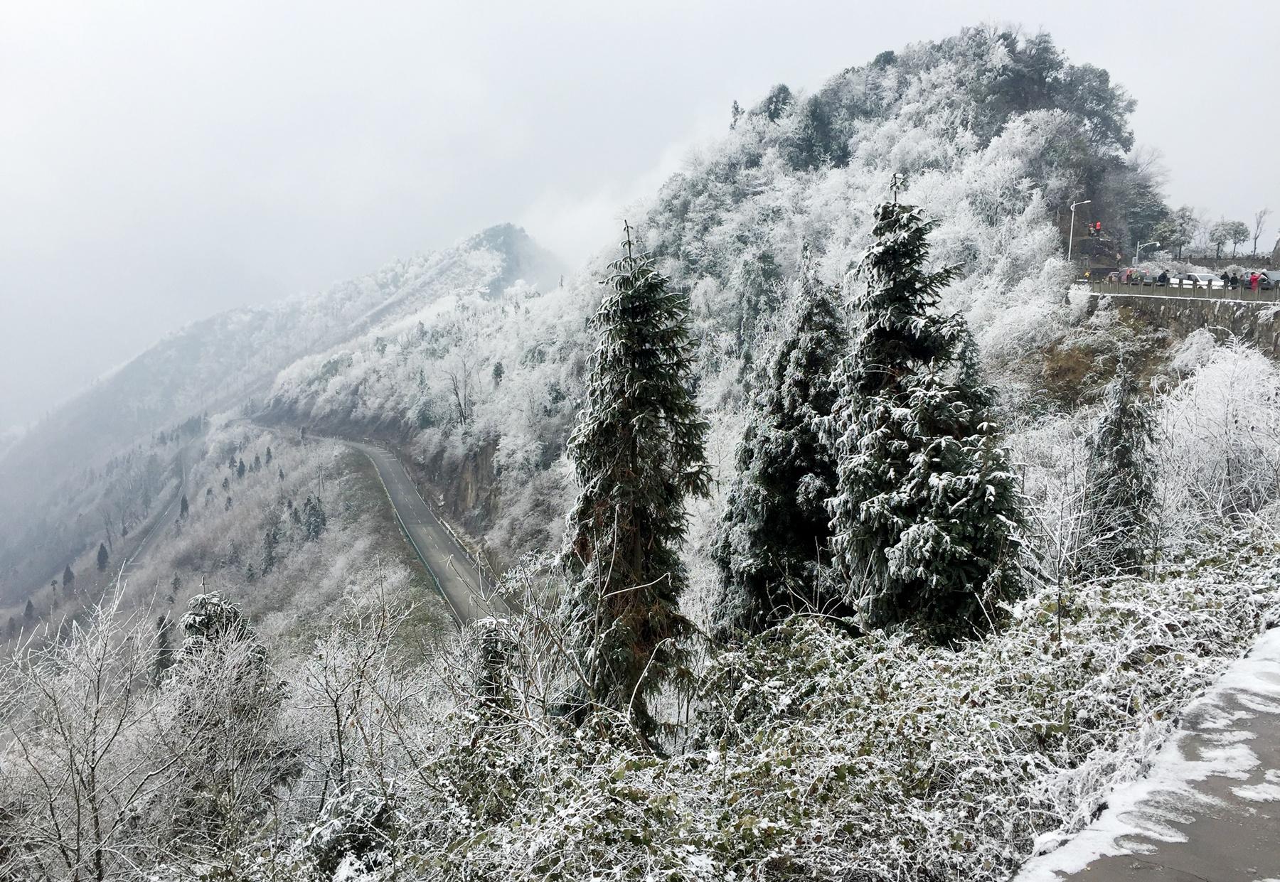 虹口乡新项目启动，乡村振兴新引擎重磅来袭