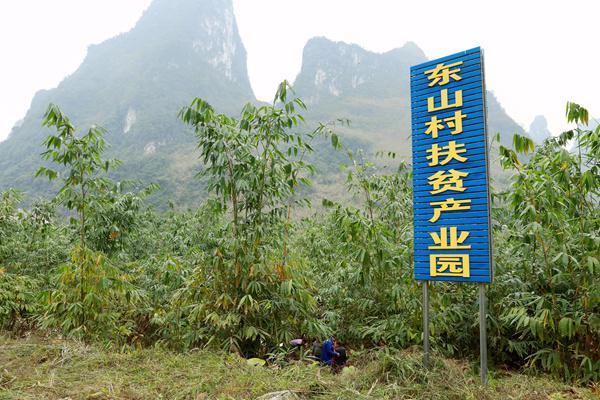 贵南县小学最新招聘公告概览