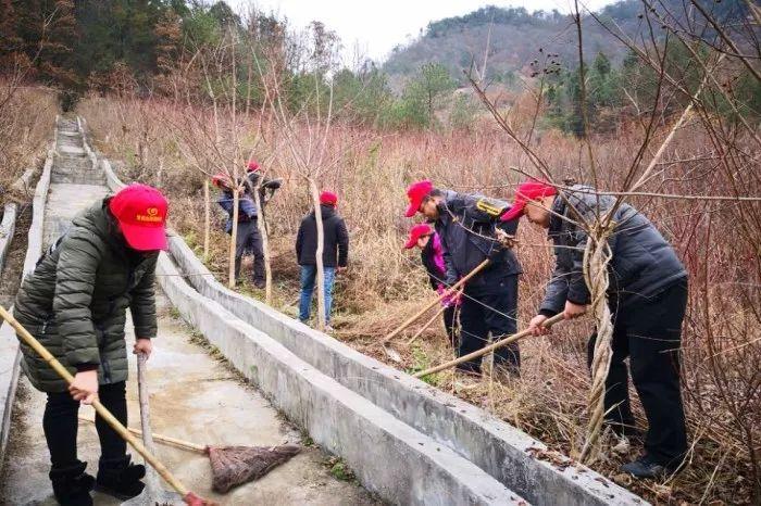 旺苍县司法局推动法治建设，深化服务群众实践新动态