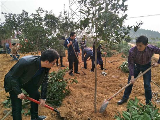 东坡区统计局最新项目研究，数据背后的故事与挑战解析