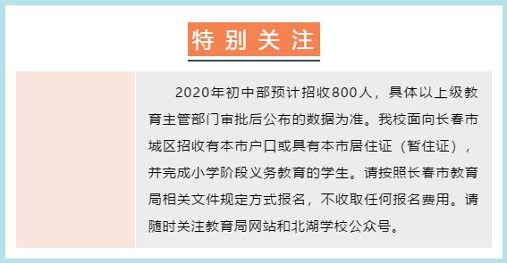 北湖区小学招聘启事，最新职位空缺信息速递