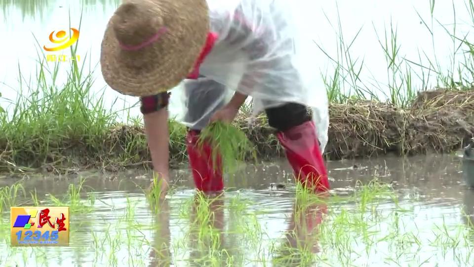 胭脂村委会天气预报更新通知