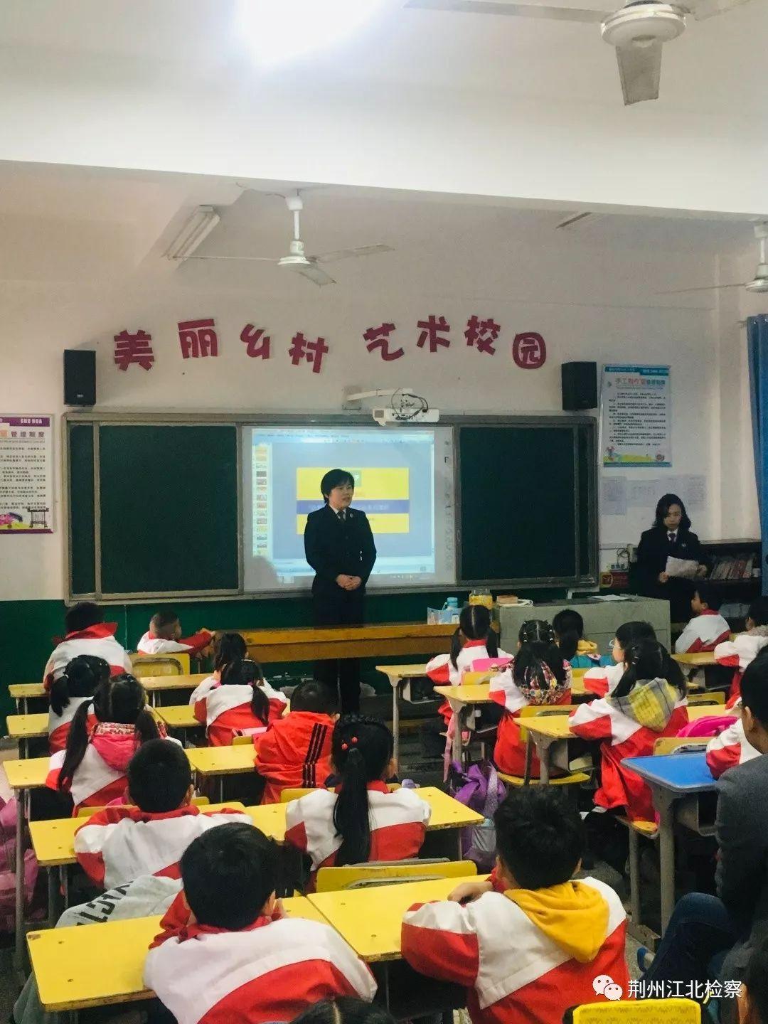 沙市区小学最新招聘启事概览