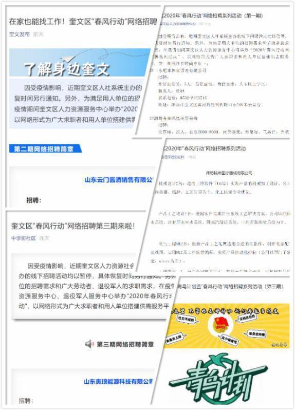 奎文区初中最新招聘公告概览