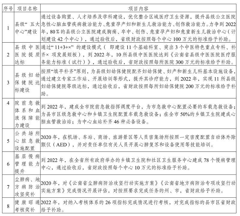 酉阳土家族苗族自治县医疗保障局发展规划展望