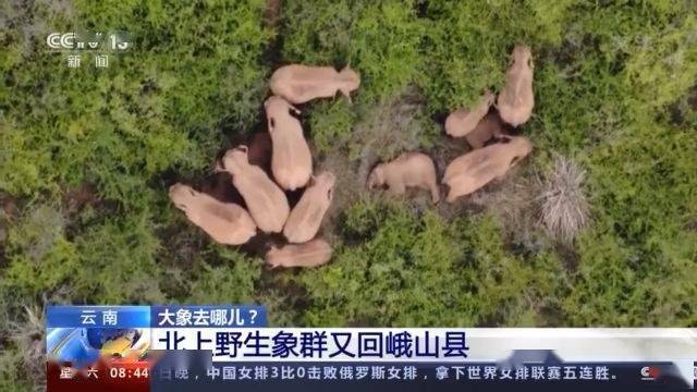 百间房乡天气预报更新通知